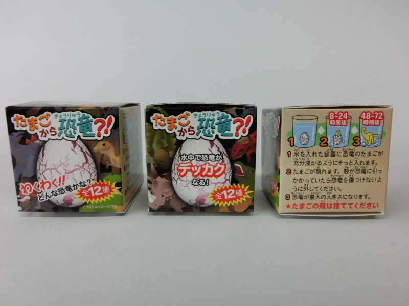 CIMG0481